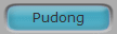 Pudong
